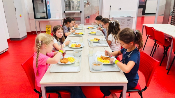 whatsapp image 2026-06-16 at 164153