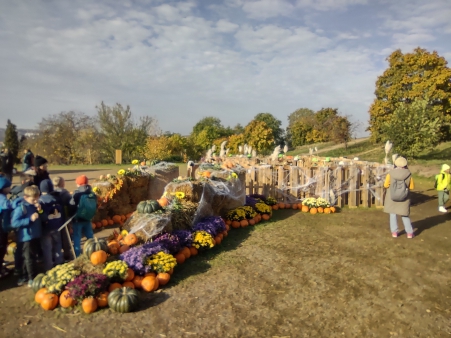 img_20251020_102609601_hdr