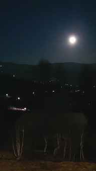 ee3d8768-d522-45d7-8988-3cc2cb4e340e