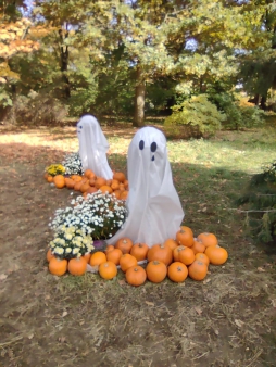 img_20251020_112159570