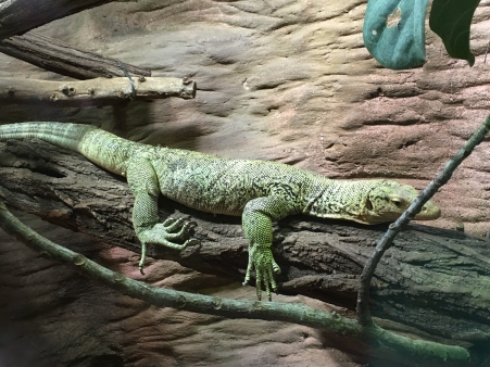 Pražská ZOO - Co dělají zvířata v zimě
