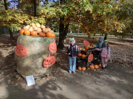 img_20251020_111712754_hdr