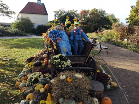 img_20251020_094436480