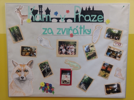 projektový týden 2019 - 1