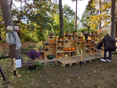 img_20251020_110516926_hdr