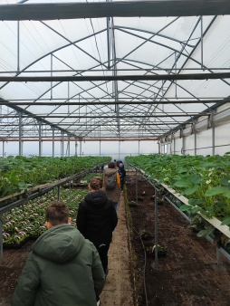 b17741fe-aa93-4a63-9694-d5facffbe1c2