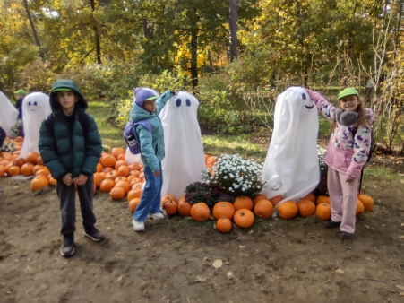 img_20251020_111901343_hdr