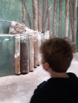 Pražská ZOO - Co dělají zvířata v zimě