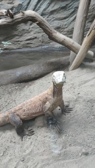 Pražská ZOO - Co dělají zvířata v zimě