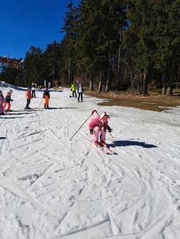 8262daf7-af61-4ec2-8313-258d7f1d14a7