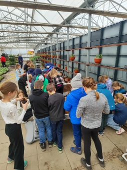 2bfecbb6-907e-446c-83cf-a8663a30b48b