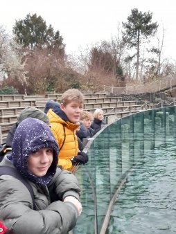Pražská ZOO - Co dělají zvířata v zimě