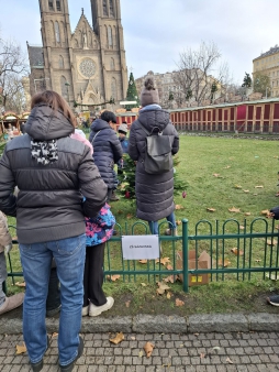 whatsapp image 2025-12-02 at 154202