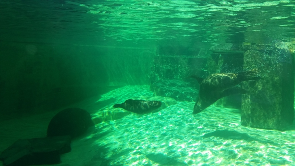 Zoo Praha