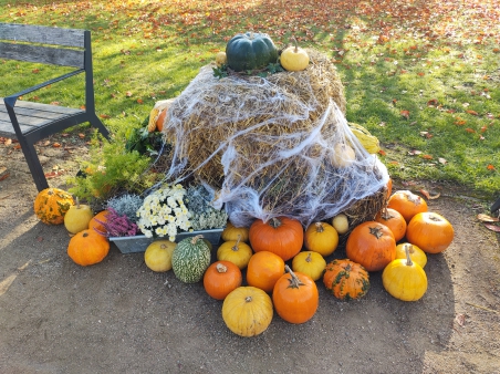 img_20251020_094515270