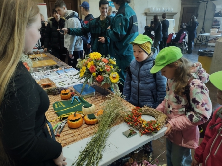 img_20251021_091553276_hdr