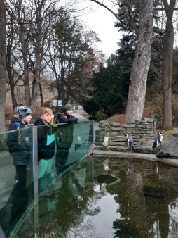 Pražská ZOO - Co dělají zvířata v zimě