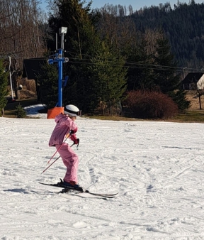 474e443c-6bd9-4fb5-bf10-e0bc2f5ed4e5