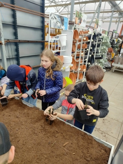 0d39233a-e68a-4ae5-8e12-d29cc09618f5