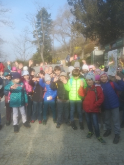 1. B  ZOO