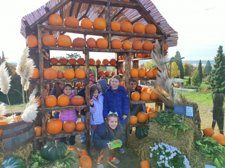 fe83783f-7e79-4148-b92a-d40f31f1b0d7