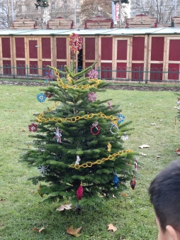 whatsapp image 2025-12-02 at 154151