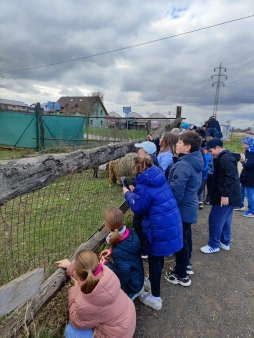 d7aeacc7-0a0f-4b5f-a180-be9a0ab7abcd