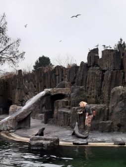 Pražská ZOO - Co dělají zvířata v zimě