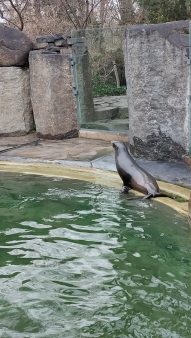 Pražská ZOO - Co dělají zvířata v zimě