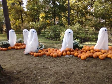 img_20251020_112148075