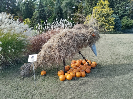 img_20251020_112556885_hdr