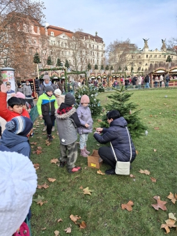 whatsapp image 2025-12-02 at 154212