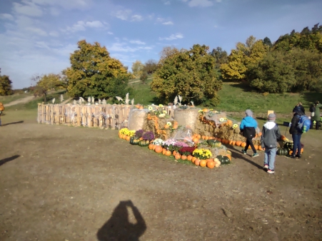 img_20251020_103329611