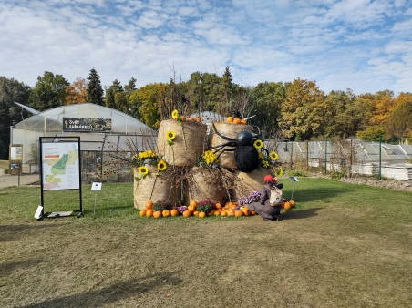 img_20251020_112648626_hdr