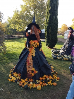 img_20251020_092927952