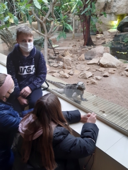 Pražská ZOO - Co dělají zvířata v zimě