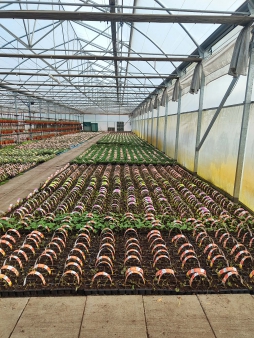 23a3c340-3e79-48cc-b656-c74653065fbc